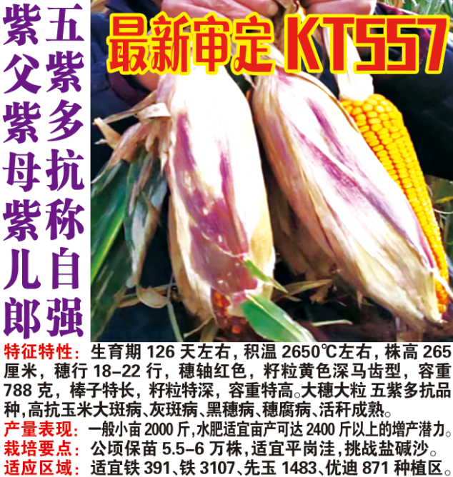 KT557