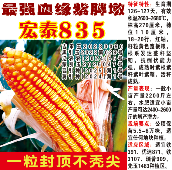 宏泰835
